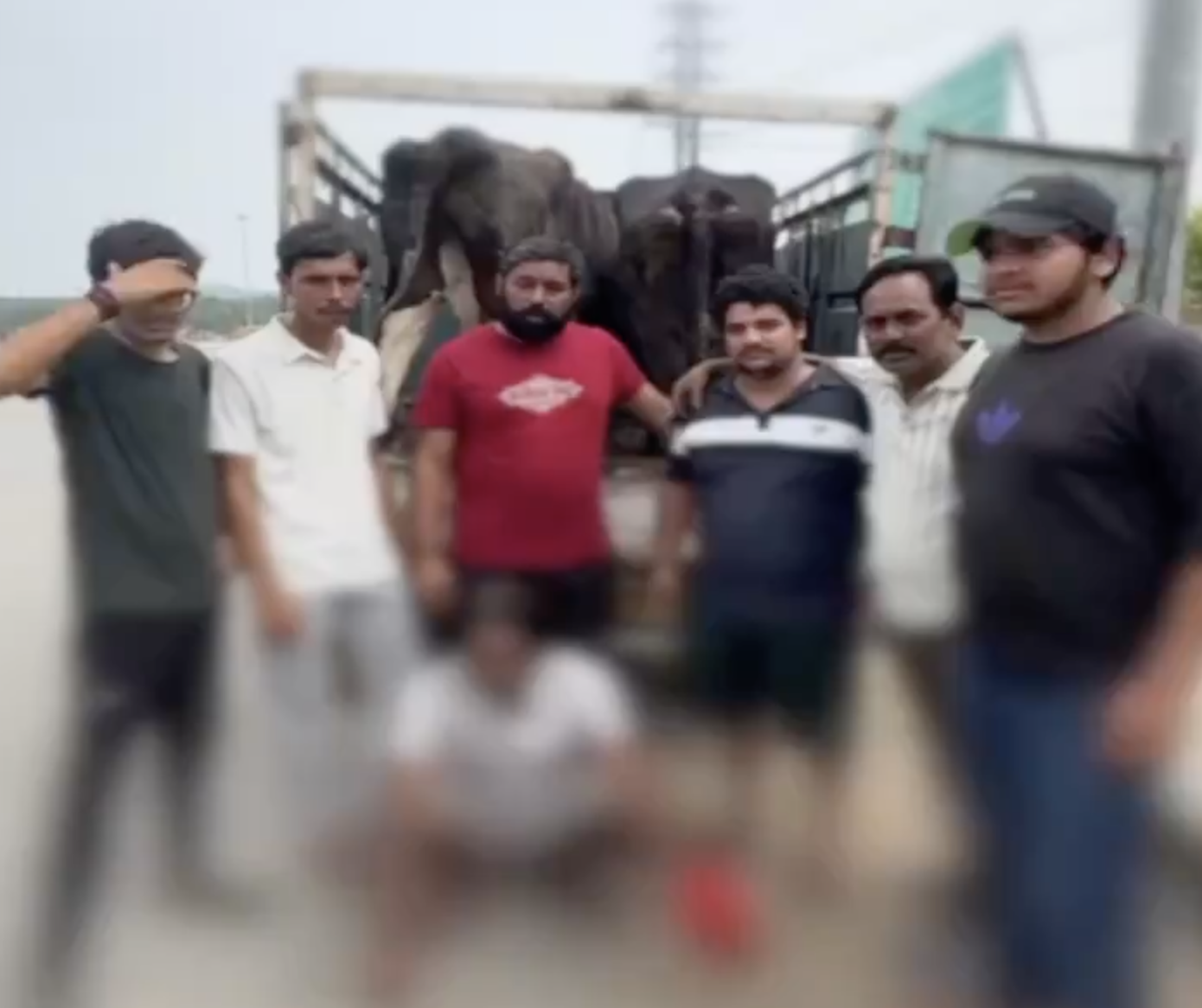 Cow vigilantes assaulted a mini truck driver for transporting cattle in Gurugram