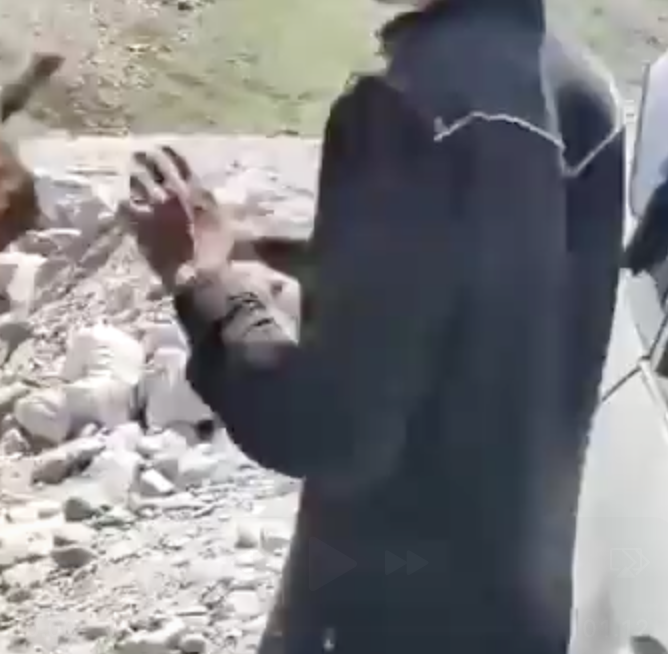 Cow vigilantes thrashed a Muslim truck driver for transporting cattle in Spiti