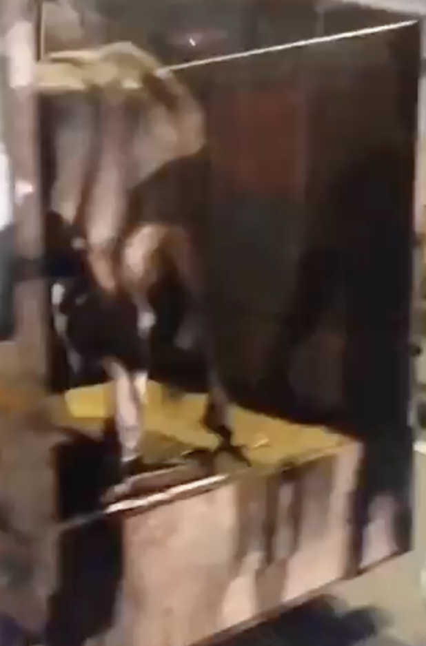 Cow vigilante team led by Rocky Rana vandalized a mini truck over cattle transportion