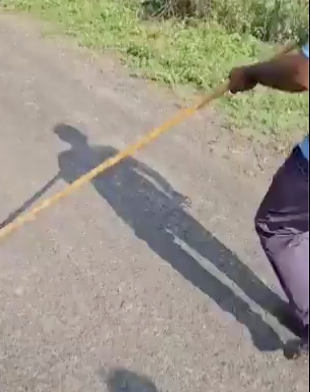 Three Muslim youths brutally attacked by cow vigilantes while passing through Valavadi village with their cattle