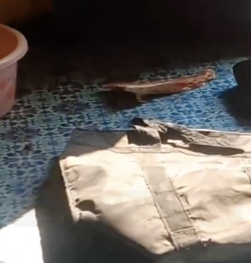 Police and cow vigilantes raided a house and arrested a Muslim woman over cow slaughter allegations