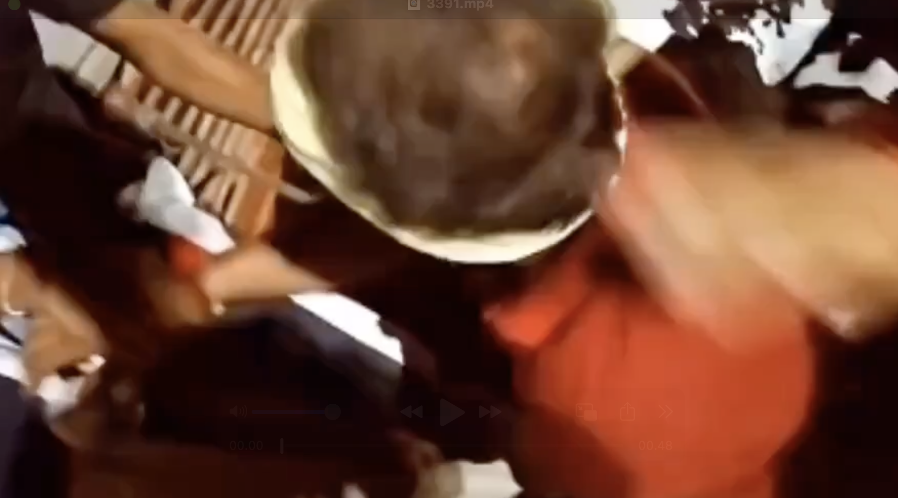 Gau Raksha Dal seizes truck, harasses driver, alleging cow smuggling