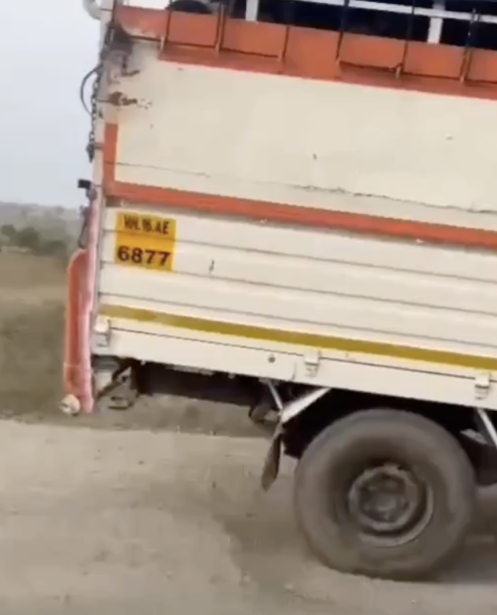 Cow vigilantes seize cattle trucks, allege illegal slaughter