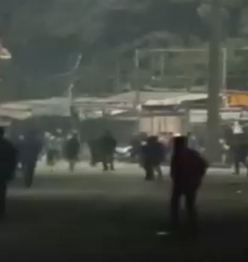 Clashes erupt over Tipu Sultan procession, escalate into arson and arrests