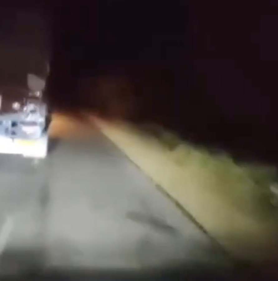 Cow vigilantes disrupt traffic, chase truck carrying cattle on smuggling allegations