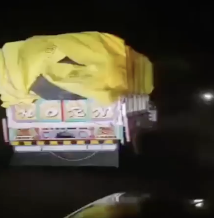 Cow vigilantes from Pranin Foundation chase cattle cars, causing one to topple dangerously