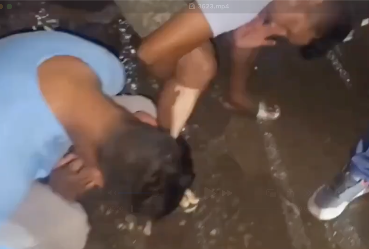 Gau Raksha Dal Harasses Youths Transporting Cows, Forces Them to Abandon Cattle