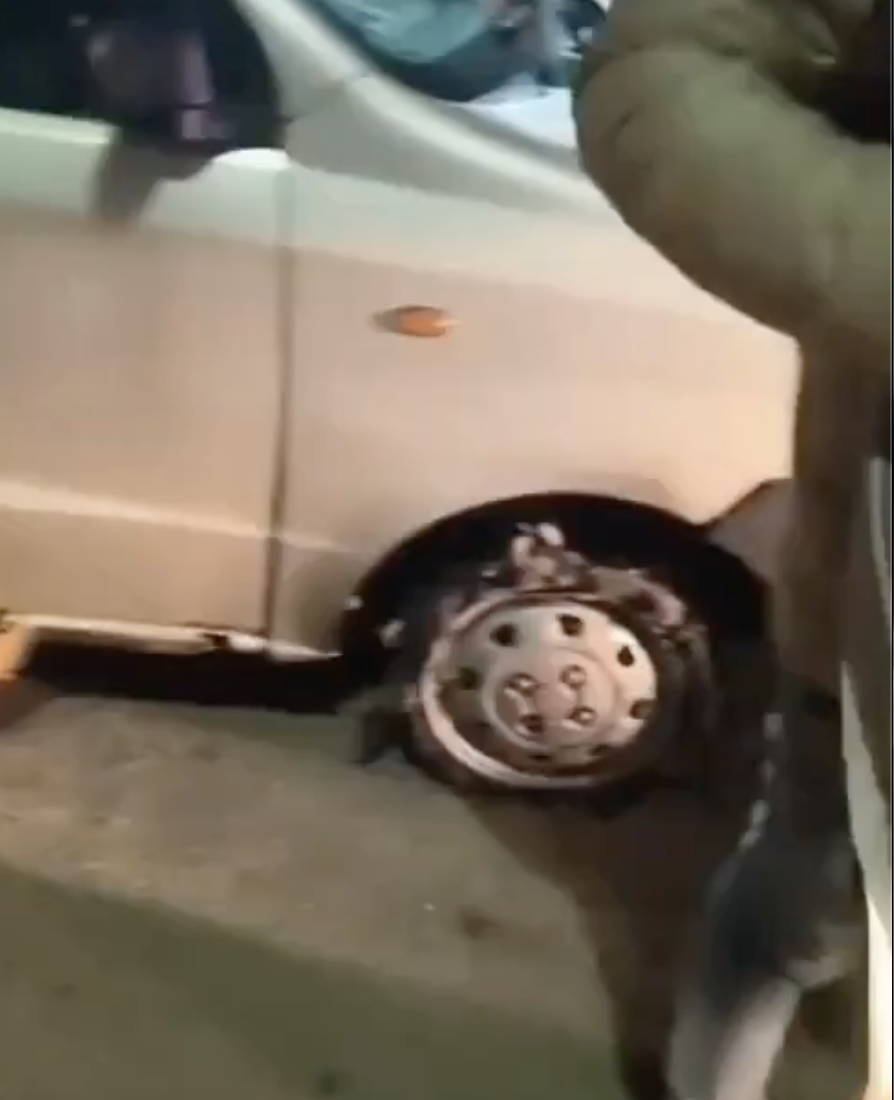 Gau Raksha Dal Vandalizes Car, Accuses Driver of Cow Smuggling—No Cattle Found