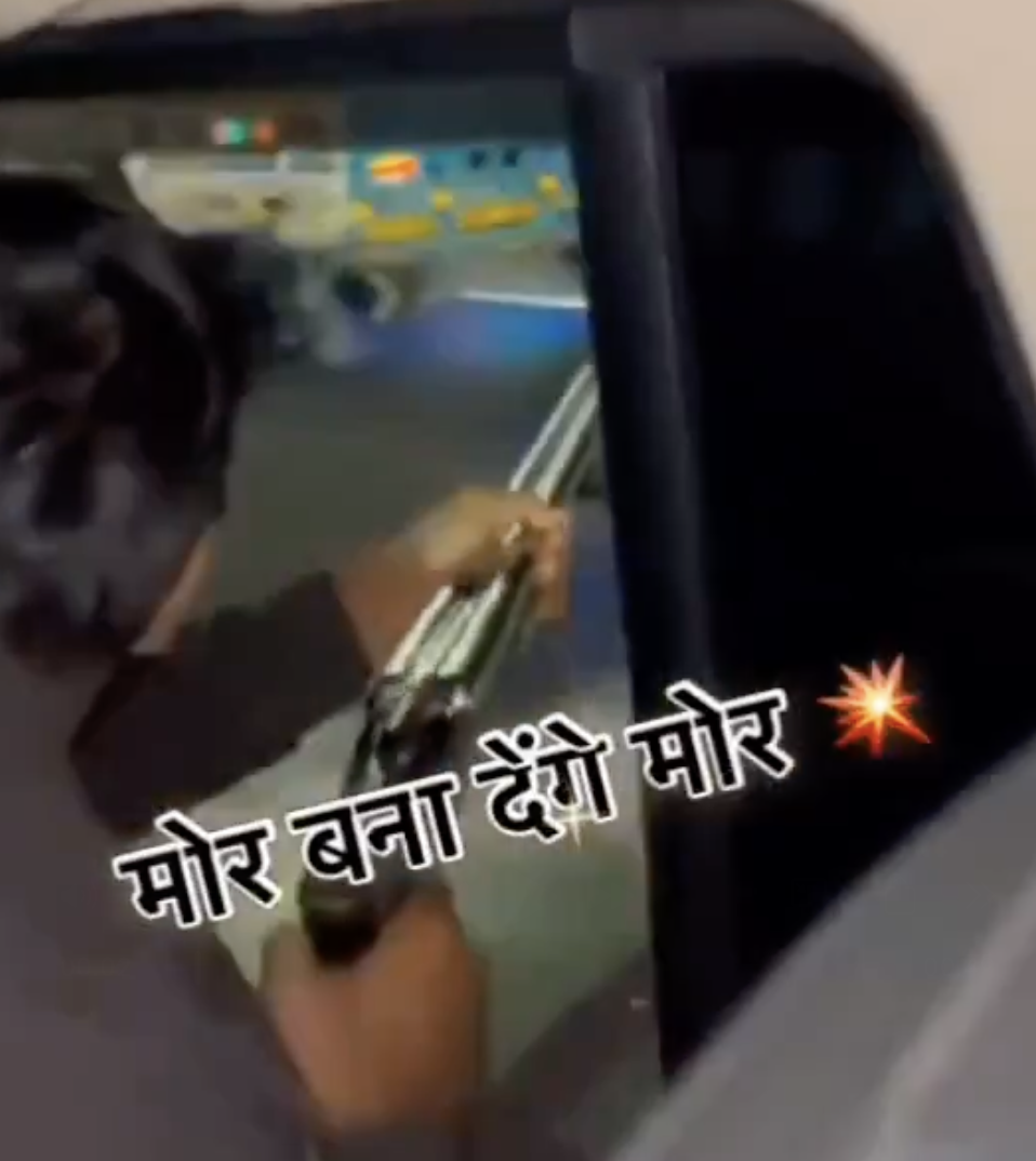 Cow Vigilantes Open Fire on Truck, Accuse Driver of Smuggling Cows