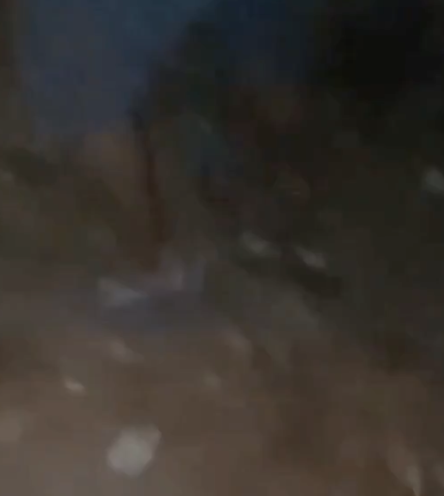 Hindu Nationalist Mob Lynches Muslim Man in Market Over Cow Slaughter Allegations