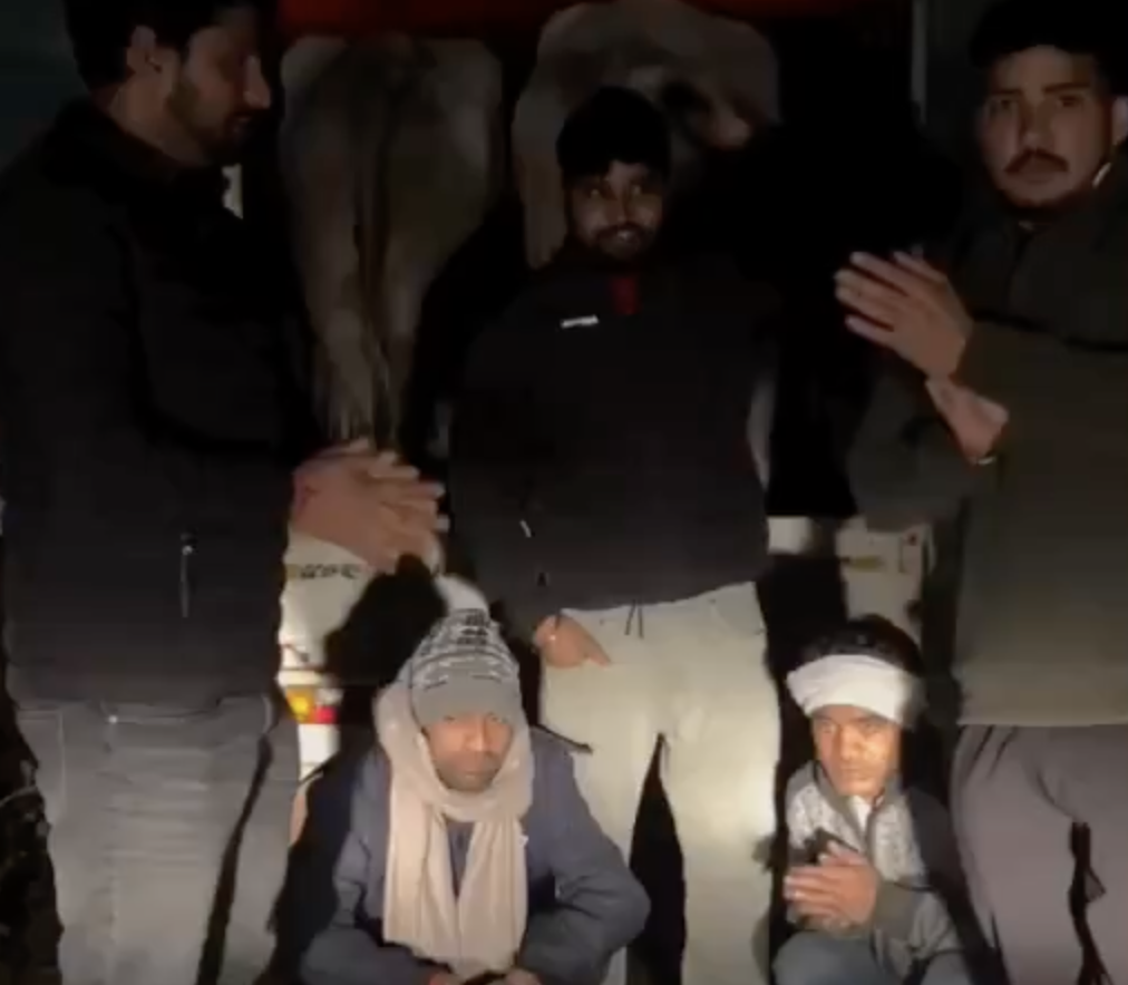 Cow Vigilantes Stop Pickup Truck, Accuse Drivers of Smuggling Cattle