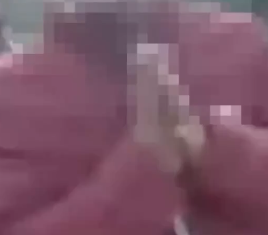 Cow Vigilantes Assault Two Men for Releasing Calves, Accuse Them of ‘Causing Inconvenience’