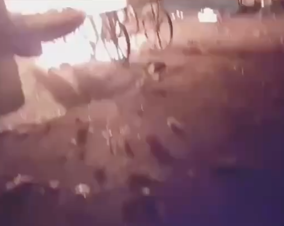 Communal Clash Erupts Near Jama Masjid After Victory Rally Provokes Worshippers During Taraweeh