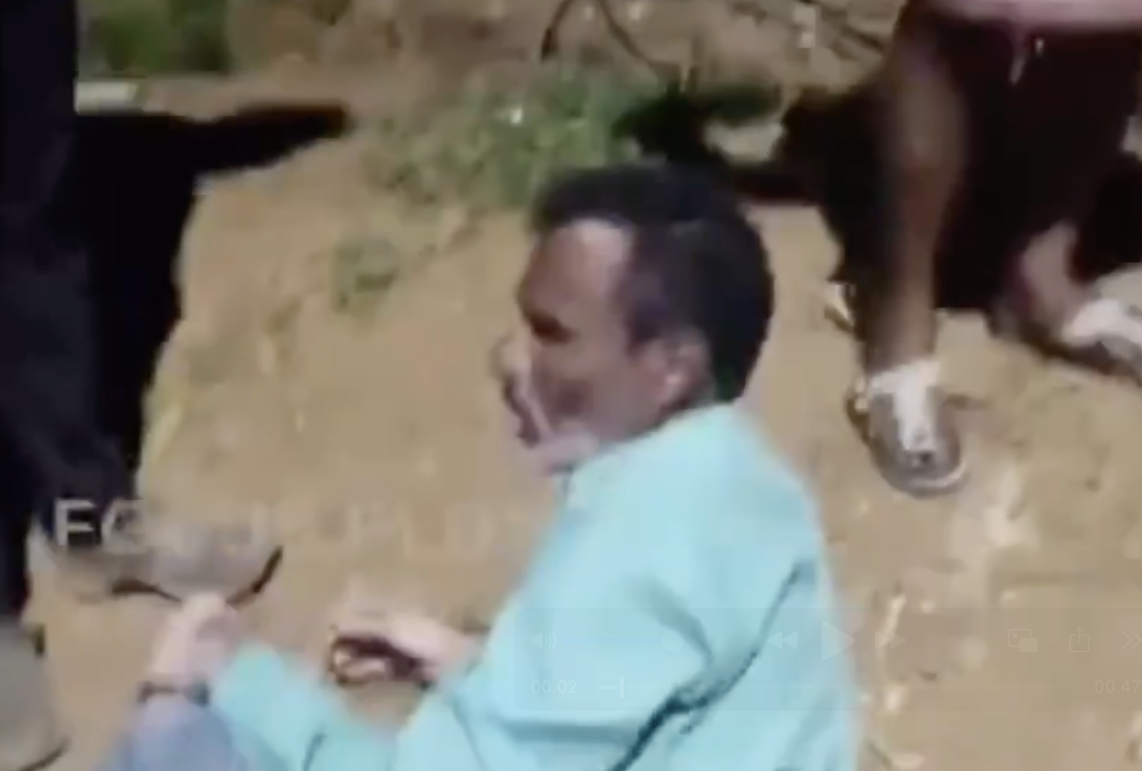 Hindu Nationalists Assault Two Men Allegedly Carrying Beef, Hand Them to Police