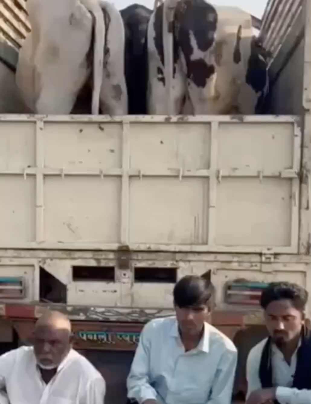 Cow Vigilantes and Police Detain Truck Drivers, Accuse Them of Slaughter