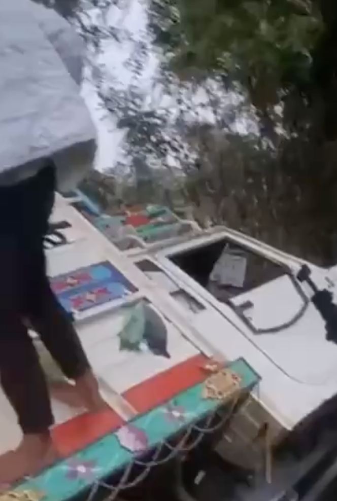 Cow Vigilantes Chase Truck, Cause Crash Over Alleged Cattle Smuggling