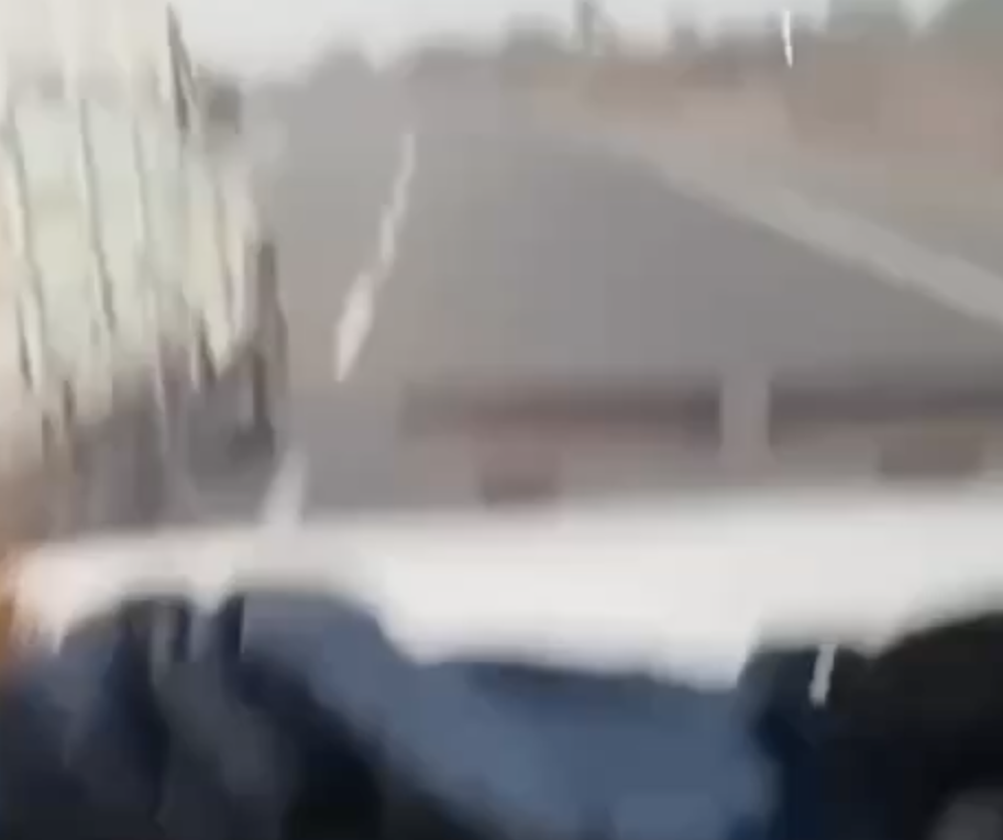 Cow vigilantes from Pranin Foundation Attack Pickup Truck Transporting Cattle