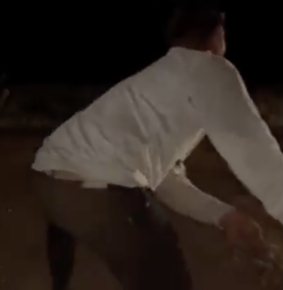 Spiked Barriers Used by Vigilantes to Crash and Seize Cattle Truck