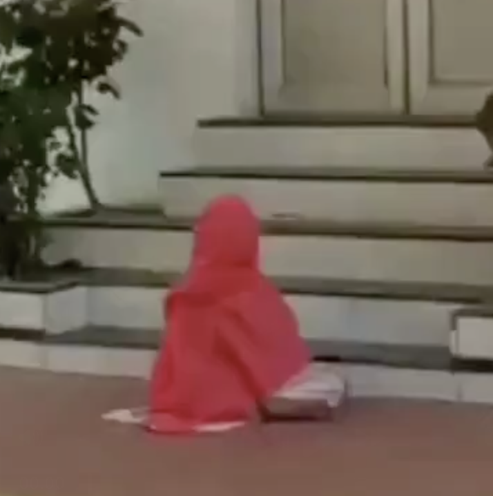 Mentally Ill Woman Arrested for Offering Namaz at Collector’s Office; Officer Suspended