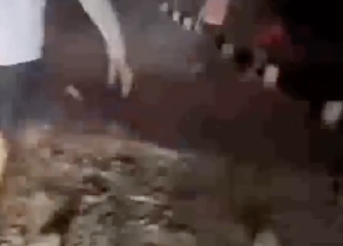 Cow Vigilantes Brutally Assault Truck Drivers in Jhalawar Over Alleged Cattle Smuggling
