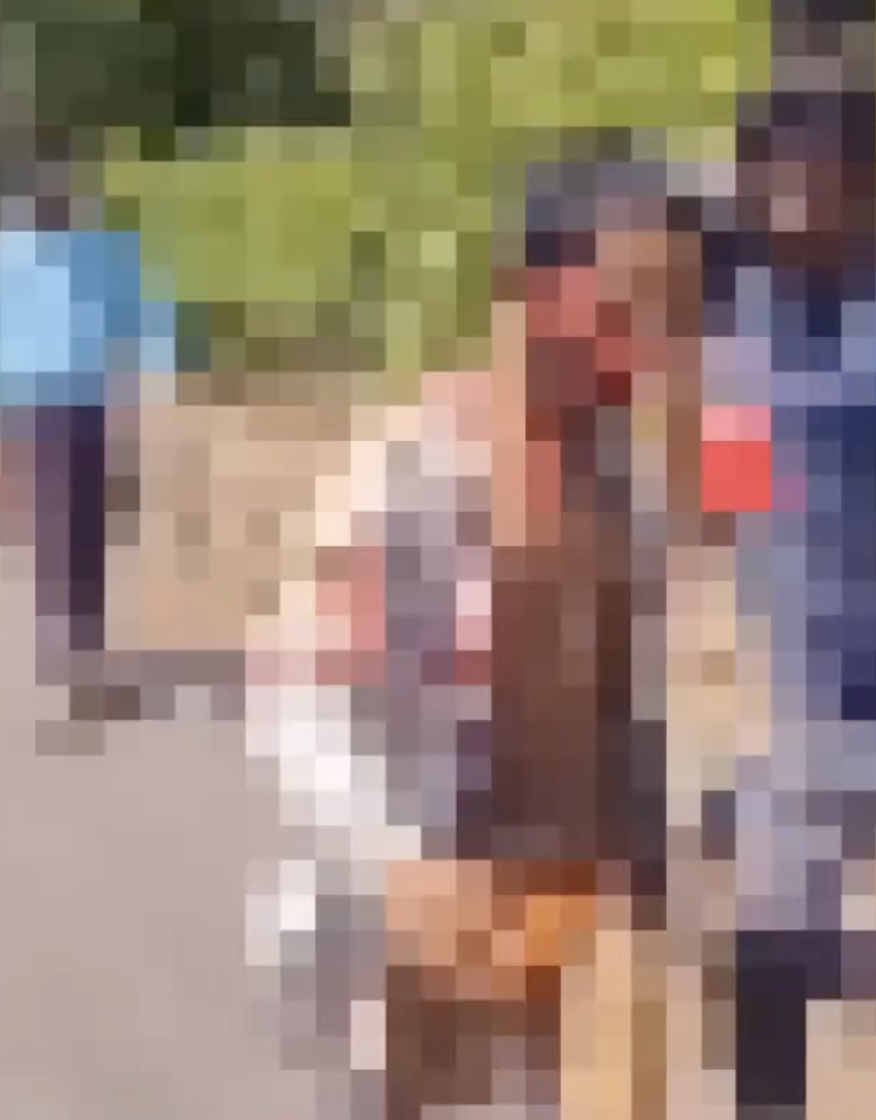 Muslim Man Brutally Assaulted Paraded Over Pakistan Zindabad Status