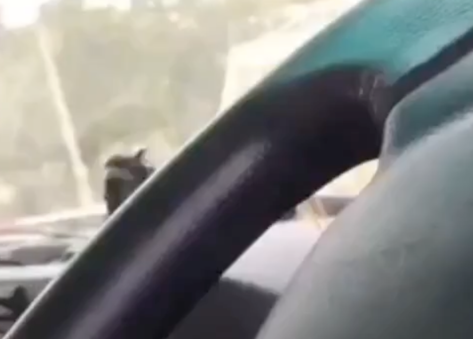 In Mewat, Muslim Man Told To Leave Vehicle; Driver Says “War Is Because Of People Like You”