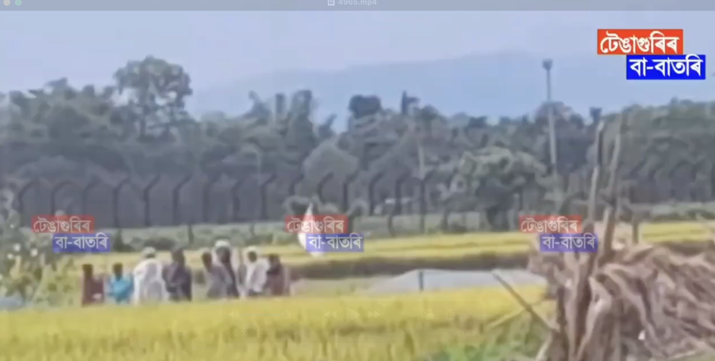 In Laharighat, BSF Deports Indian Muslim; Brings Him Back After Identity Confirmed