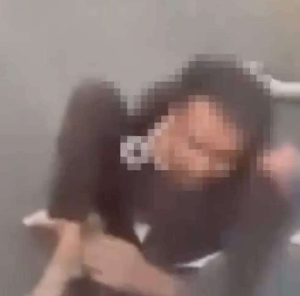 In Jhalawar, cow vigilantes assault cattle transporters in police presence