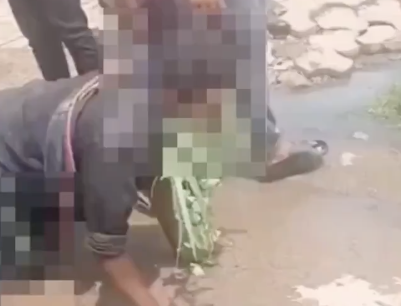 In Dharakote, Dalit Men Transporting Cows Stripped, Beaten, and Forced to Drink Sewage