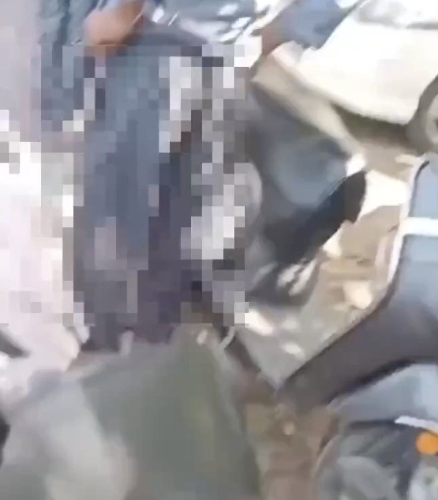 In Chandigarh, Gau Raksha Dal Stops Muslim Father and Daughter Over Alleged Beef