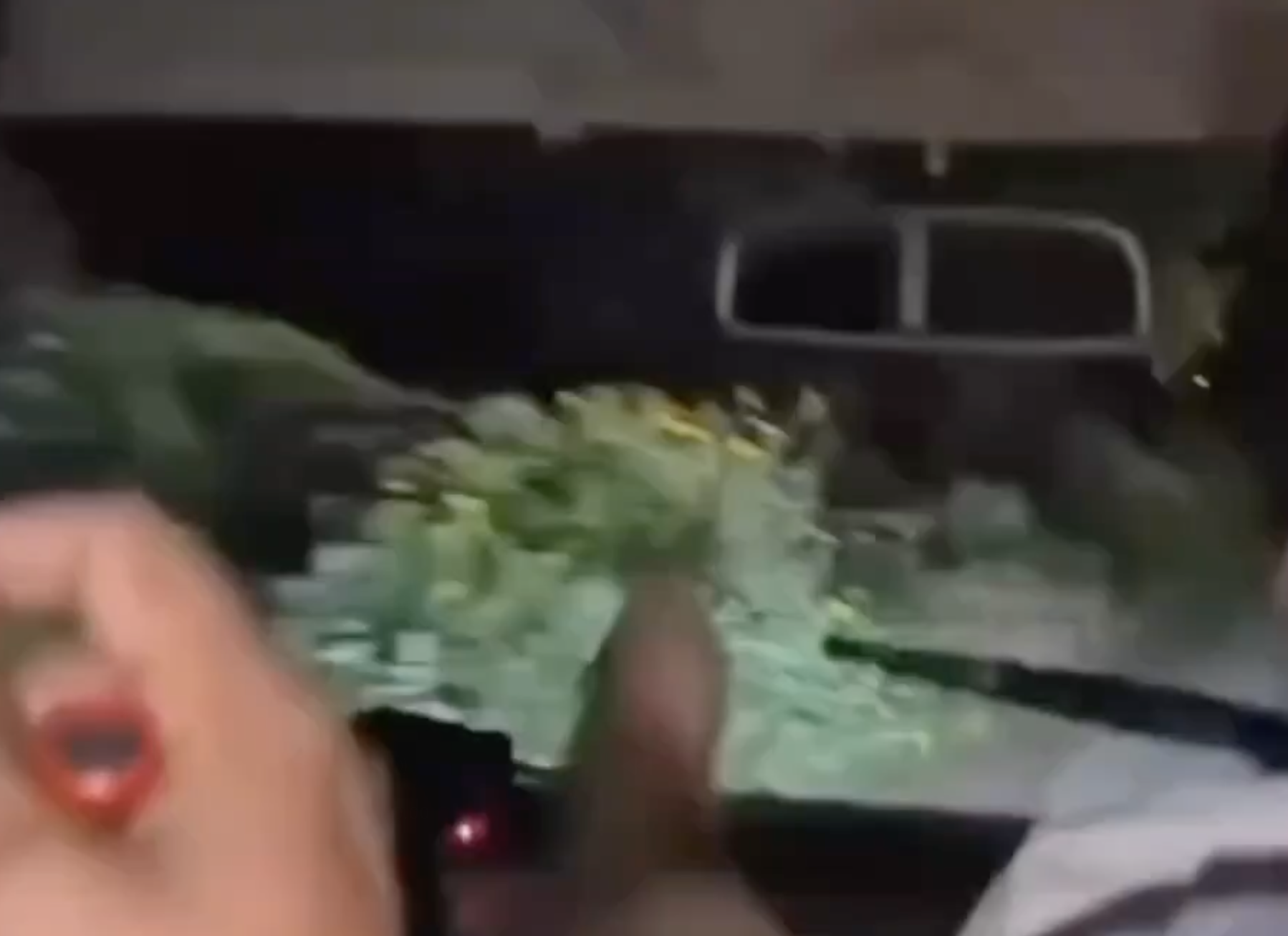 In Firozpur Jhirka, Gau Raksha Dal Shoots at Truck, Seizes Cattle Over Smuggling