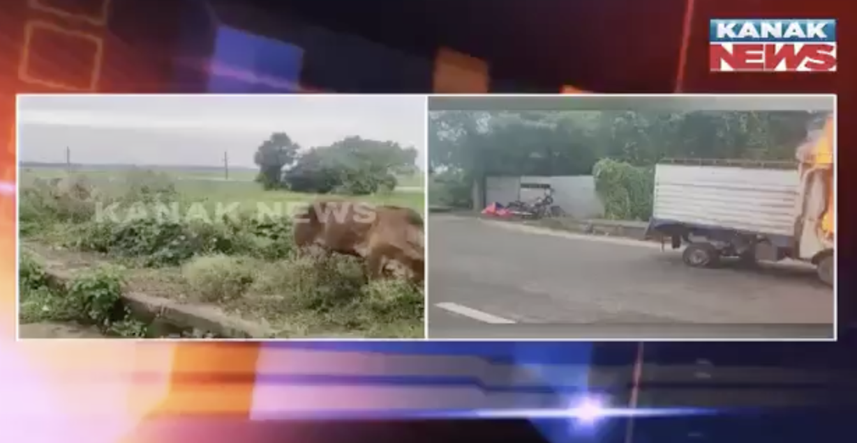 In Nalanga, Odisha, vigilantes torch vehicle over cattle claim