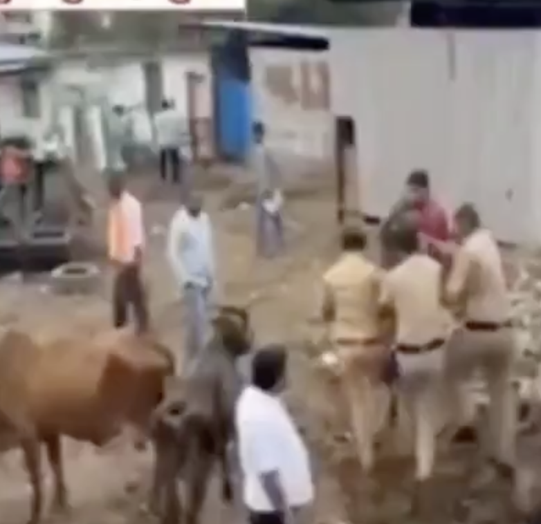In Fursungi, Pune, vigilantes assault ex-minister over cow stance