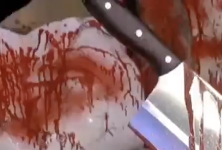 In Raipur, Garba tableau spreads ‘love jihad’ conspiracy with violent imagery