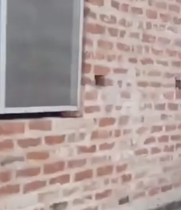 In Lucknow, Bajrang Dal raids Christian prayer meeting; police arrest pastor over “conversion racket”