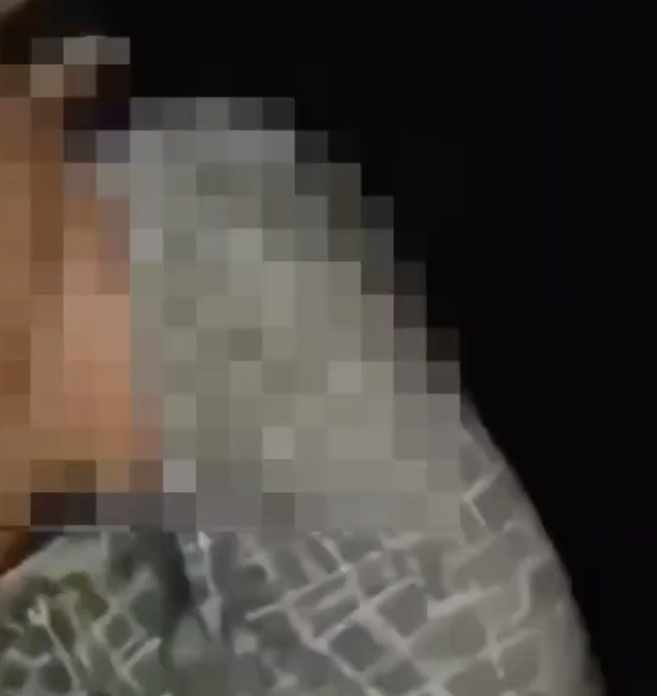 On KMP Highway, cow vigilantes attack two men transporting cattle