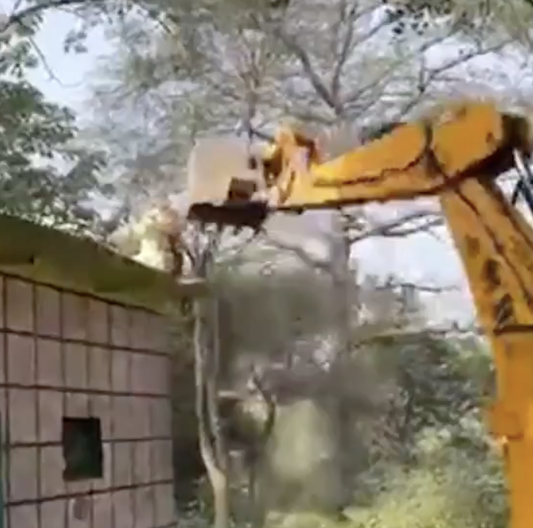 In Ranipur, Authorities Demolish Dargah as Alleged Encroachment on Government Land