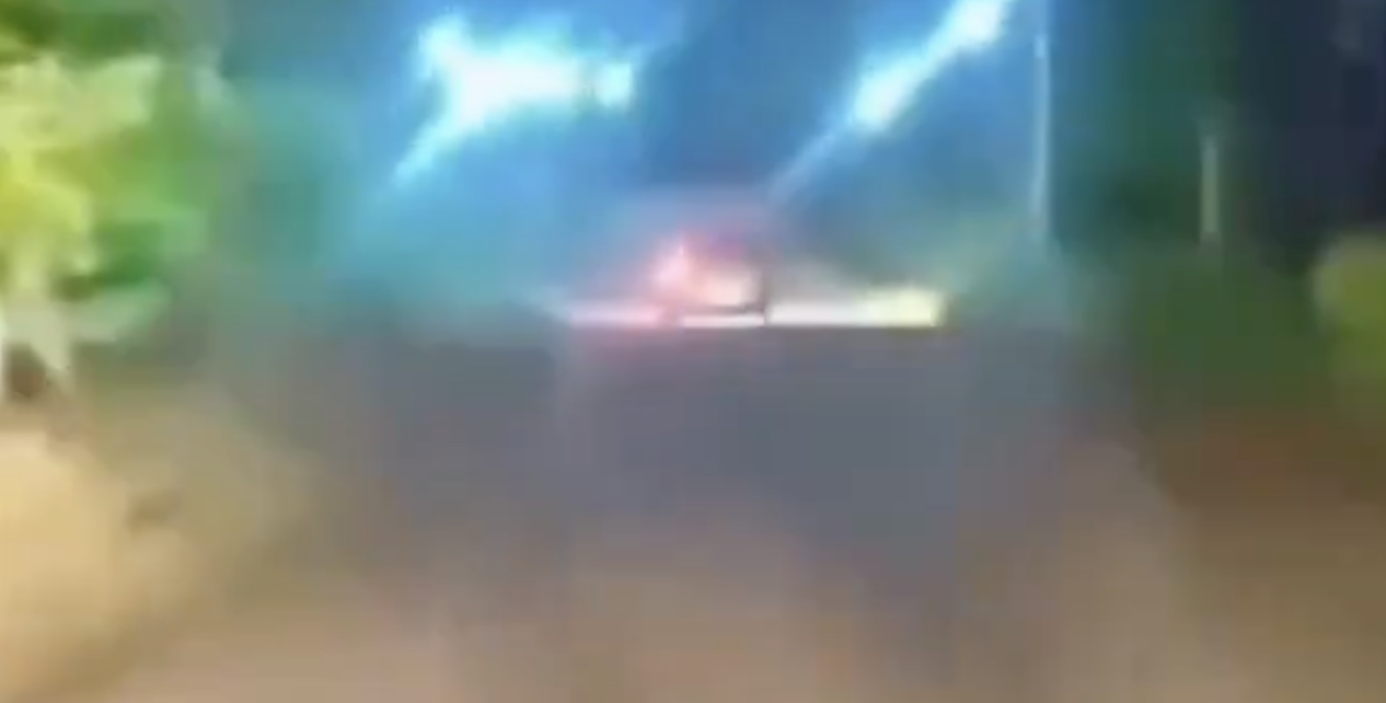 In Vadgaon, Pranian Foundation Vigilantes Stage High-Speed Cattle Chase