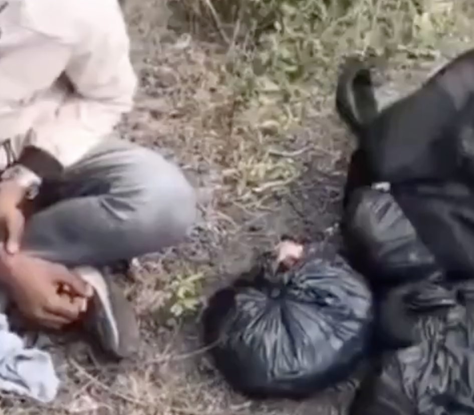 In Godhra, Cow Vigilantes Assault Muslim Man Transporting Beef