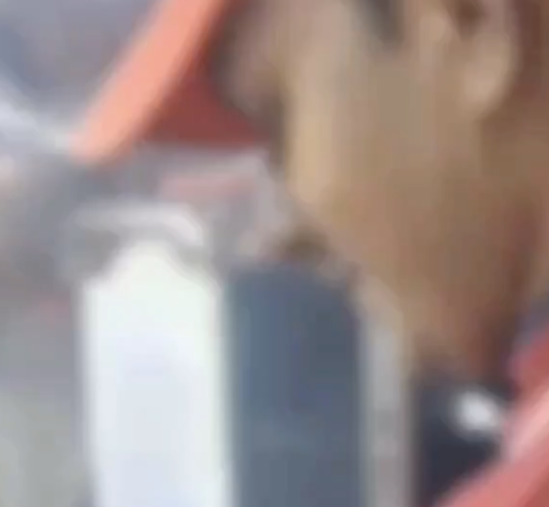 In Gaur City 2, Gau Raksha Dal Assaults Vendor Over Name and ‘Thook Jihad’ Claim