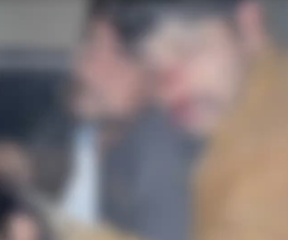 Cow Vigilantes and Police Chase Cattle Pickup, Assault Seven in Deeg