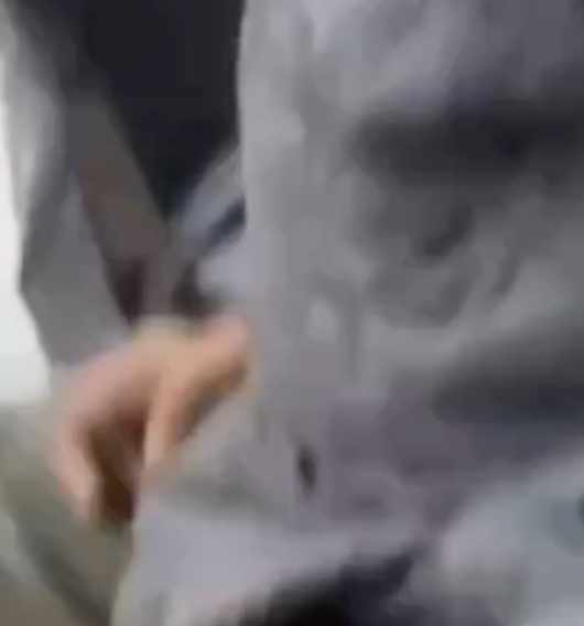 In Chandigarh, Gau Raksha Dal Seizes E-Rickshaw Over Alleged Cow Meat