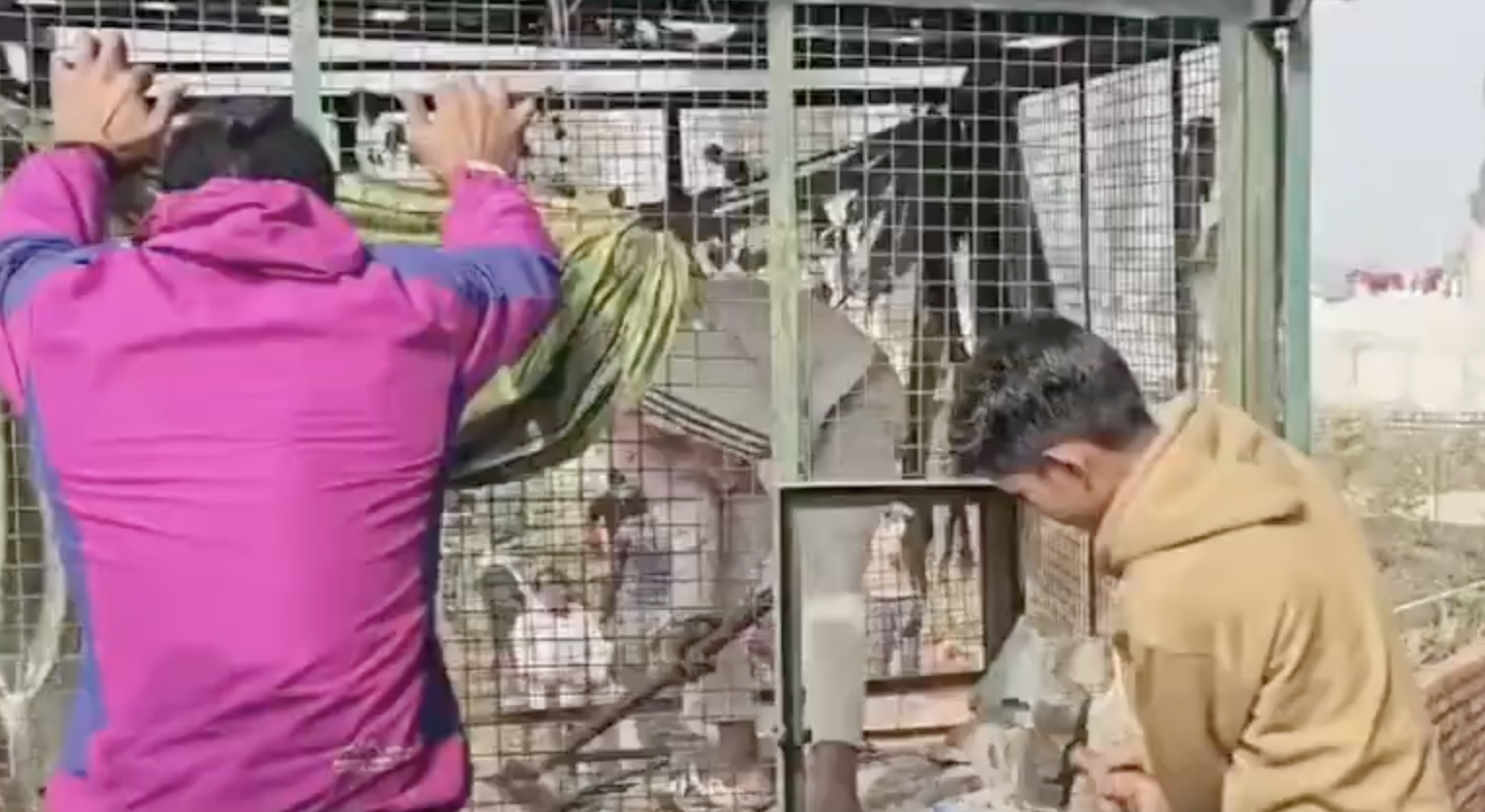 In Rishikesh, VHP–Bajrang Dal Demolish Mazar and Threaten More