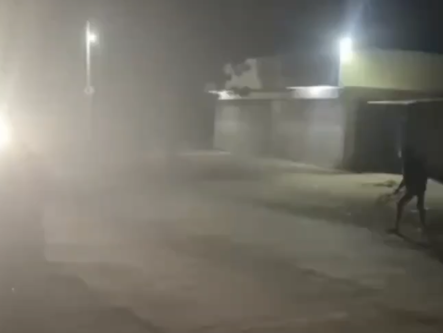 In Nashik, Cow Vigilantes Chase Pickup Until It Crashes