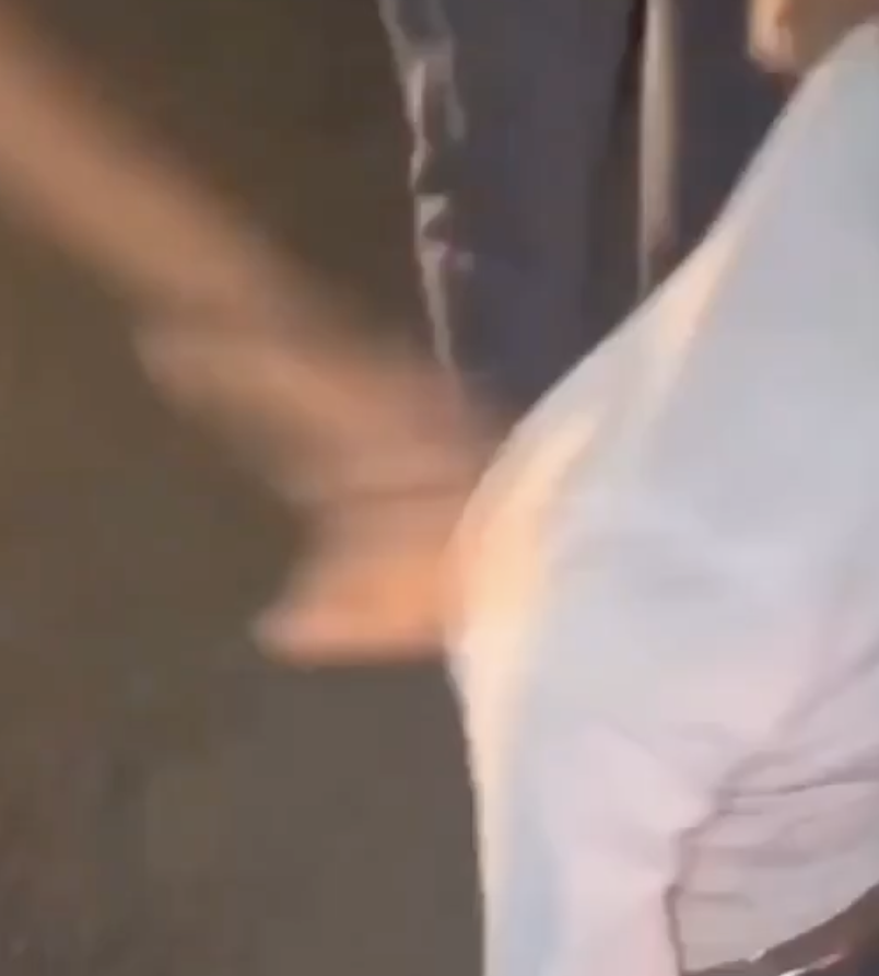 In Pune, Cow Vigilantes Brutally Assault Muslim Cattle Transporter