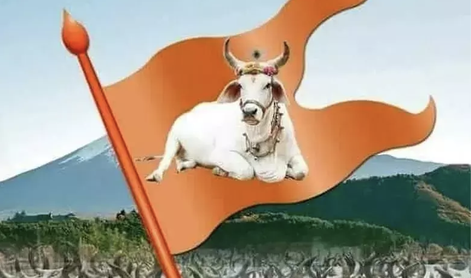 Fear, flight, silence: How Gujarat’s cow laws threaten Muslims (Madhyamam Online)