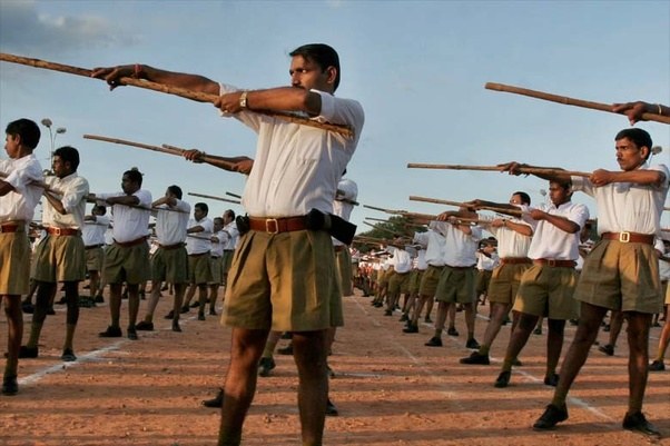 RSS Mouthpiece Terms Cockroach Janta Party a ‘Politically Engineered Operation’, Part of ‘Left-Leaning’ Ecosystem (The Wire)