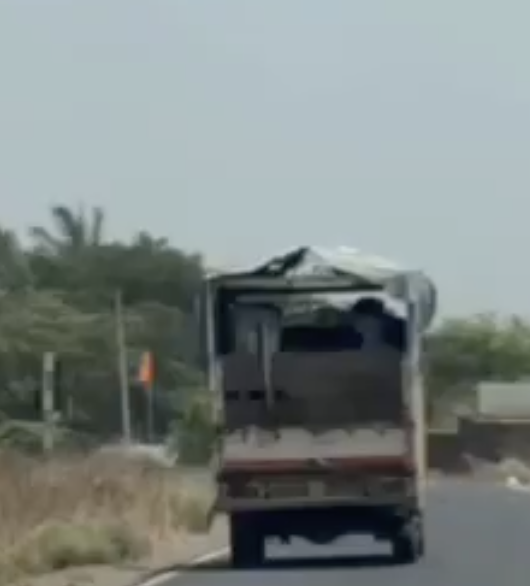 In Ahilyanagar, Shivpratishthan Members Assault Cattle Transporter