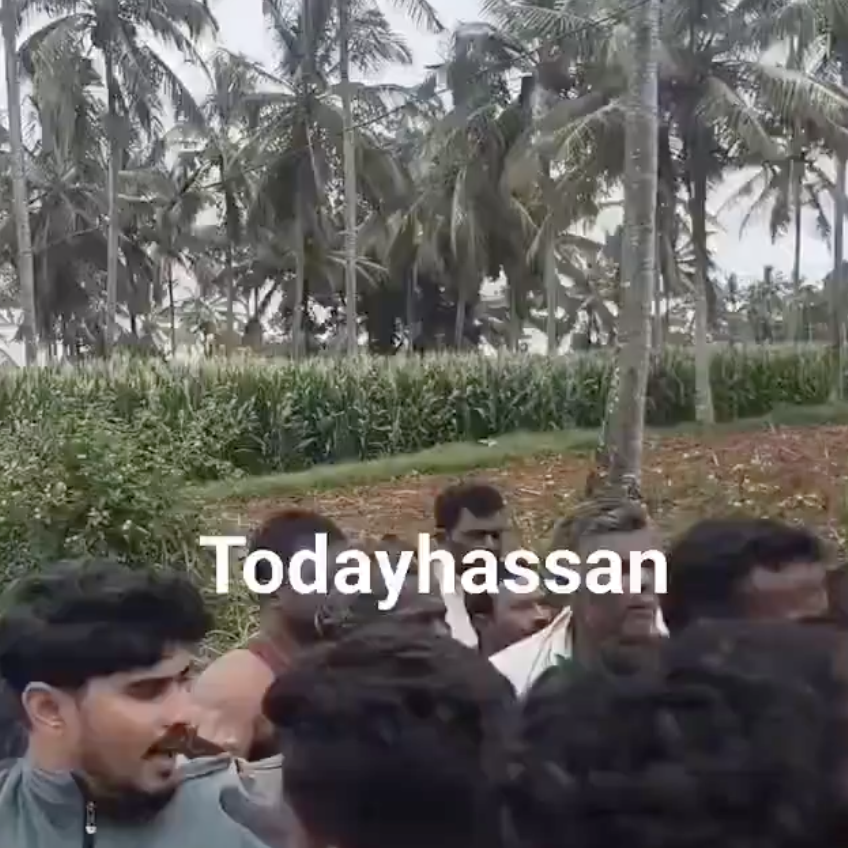 In Hassan, Cow Vigilantes Assault Driver After Intercepting Cattle Vehicle