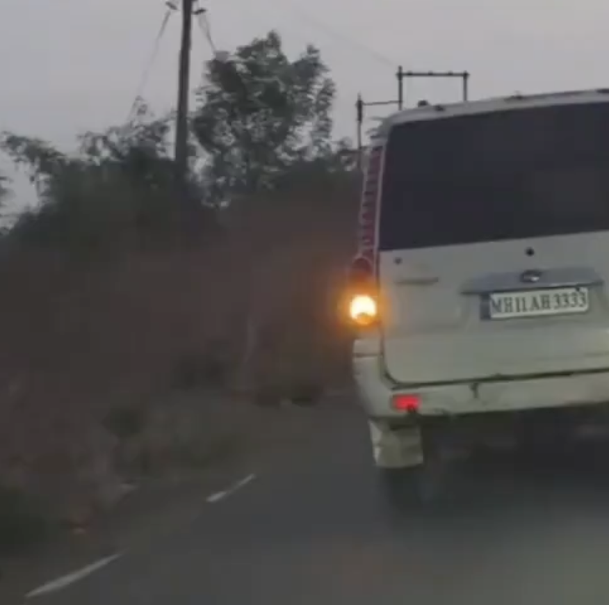 In Mirajgaon, Cow Vigilantes Chase Cattle Vehicle, Seize Animals and Vandalise Car